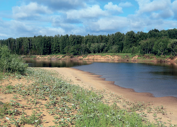Река Язьва и её кулики
