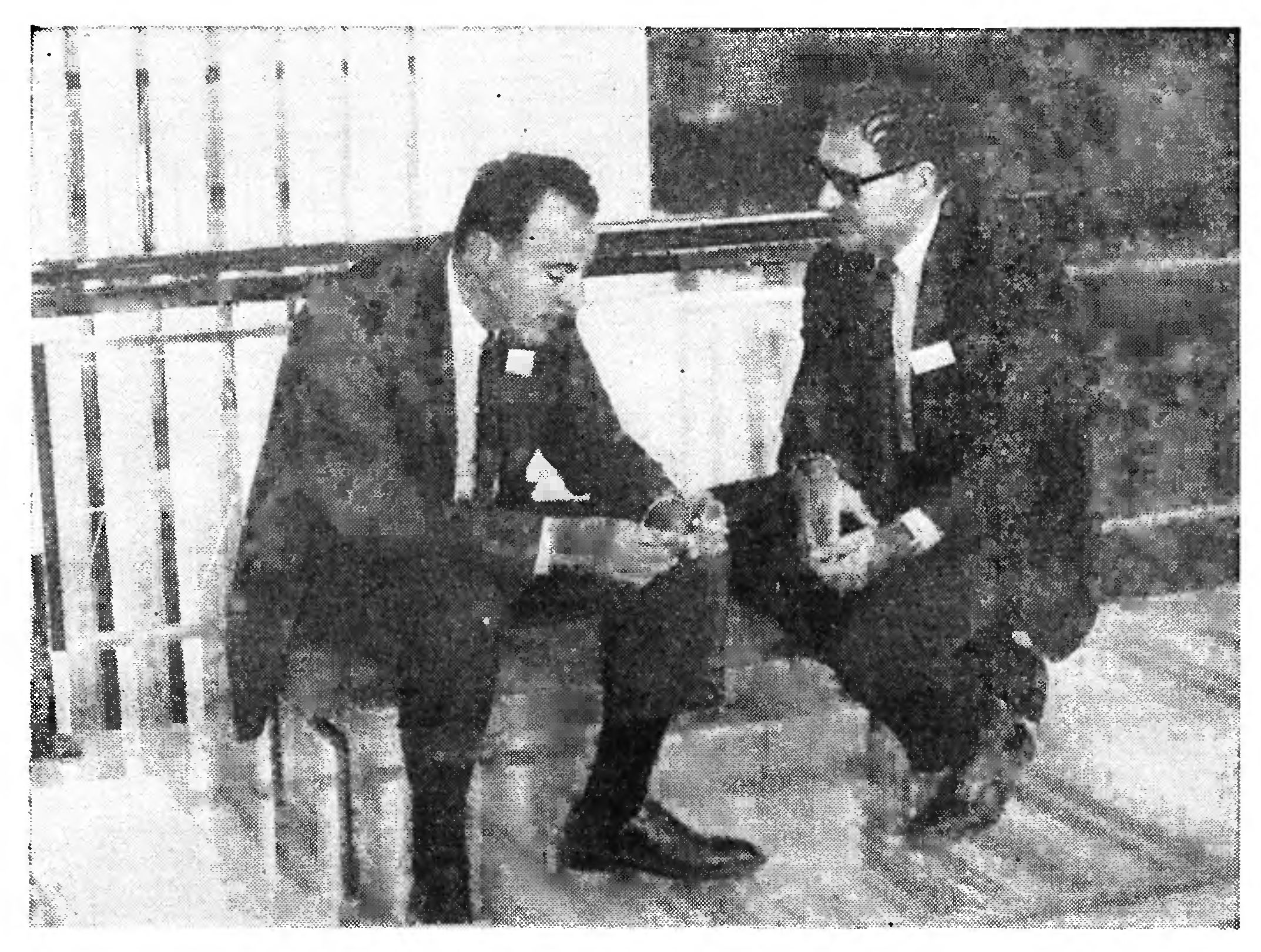 РЕГУЛЯЦИЯ АКТИВНОСТИ ГЕНОВ