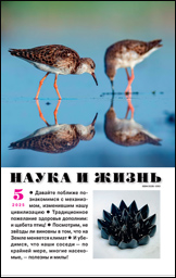 Обложка журнала «Наука и жизнь» №05 за 2025 г.