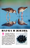 «Наука и жизнь» 2025_05(pdf)
