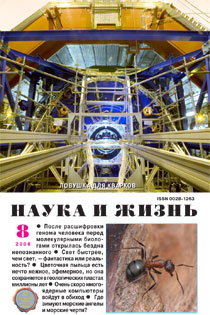 Обложка журнала «Наука и жизнь» №8 за 2008 г.