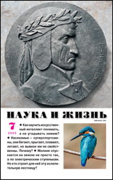 Обложка журнала «Наука и жизнь» №07 за 2025 г.