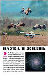 Обложка журнала «Наука и жизнь» №09 за 2025 г.