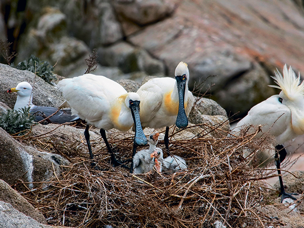 Заповедные новости. Апрель 2026 №4