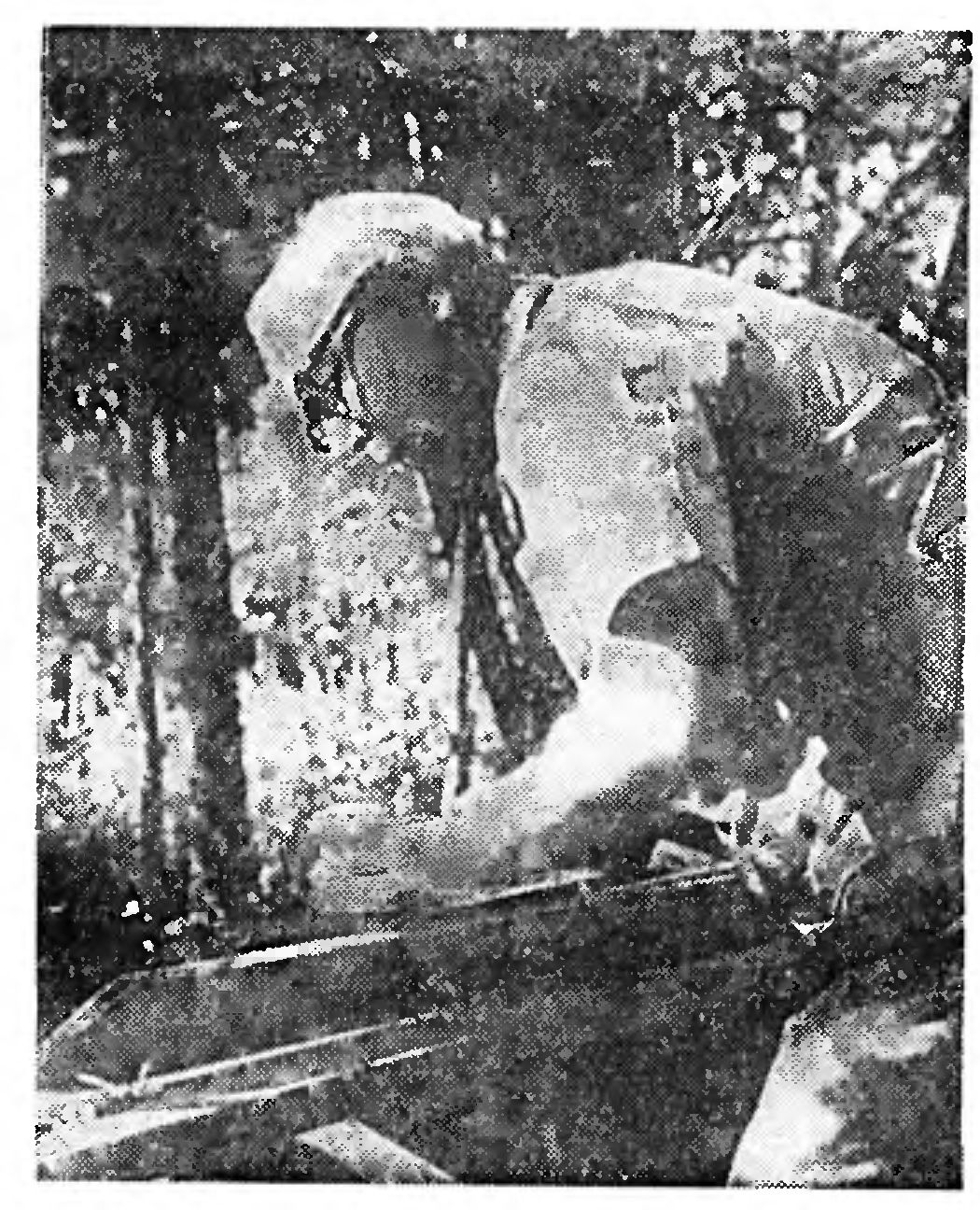 ПОИСК, И СНОВА ПОИСК