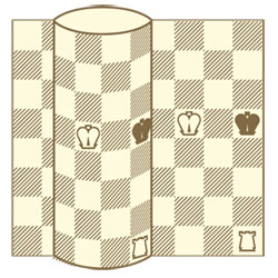 Цилиндрические шахматы