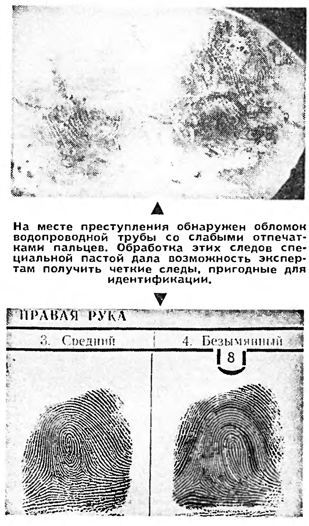 НАУКА НА СЛУЖБЕ СОЦИАЛИСТИЧЕСКОЙ ЗАКОННОСТИ