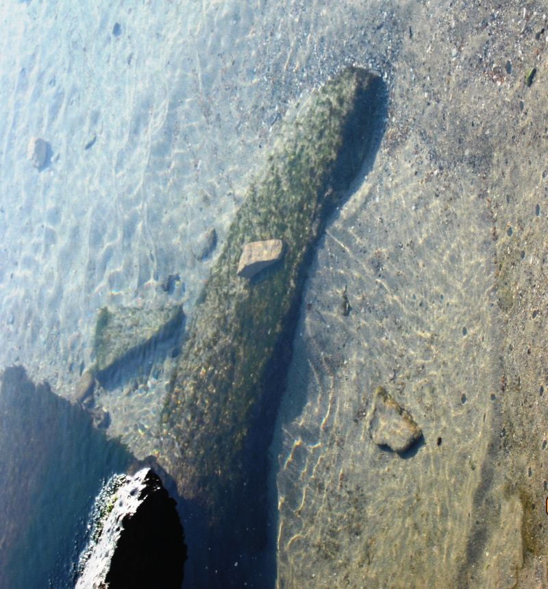 Подводный камень в виде большого змея.