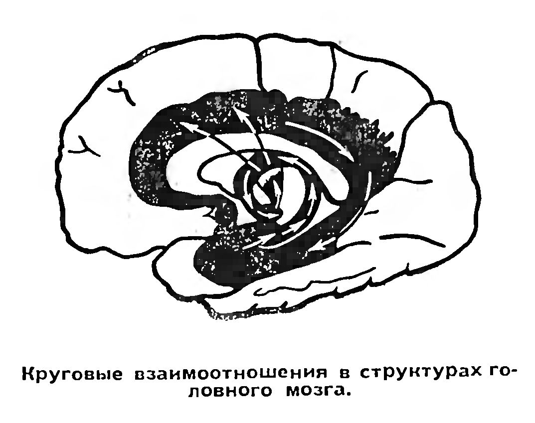 ЭМОЦИИ И "БОЛЕЗНЬ ВЕКА"