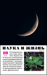 Обложка журнала «Наука и жизнь» №10 за 2022 г.