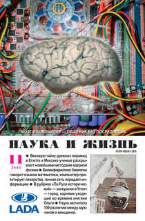 Обложка журнала «Наука и жизнь» №11 за 2004 г.