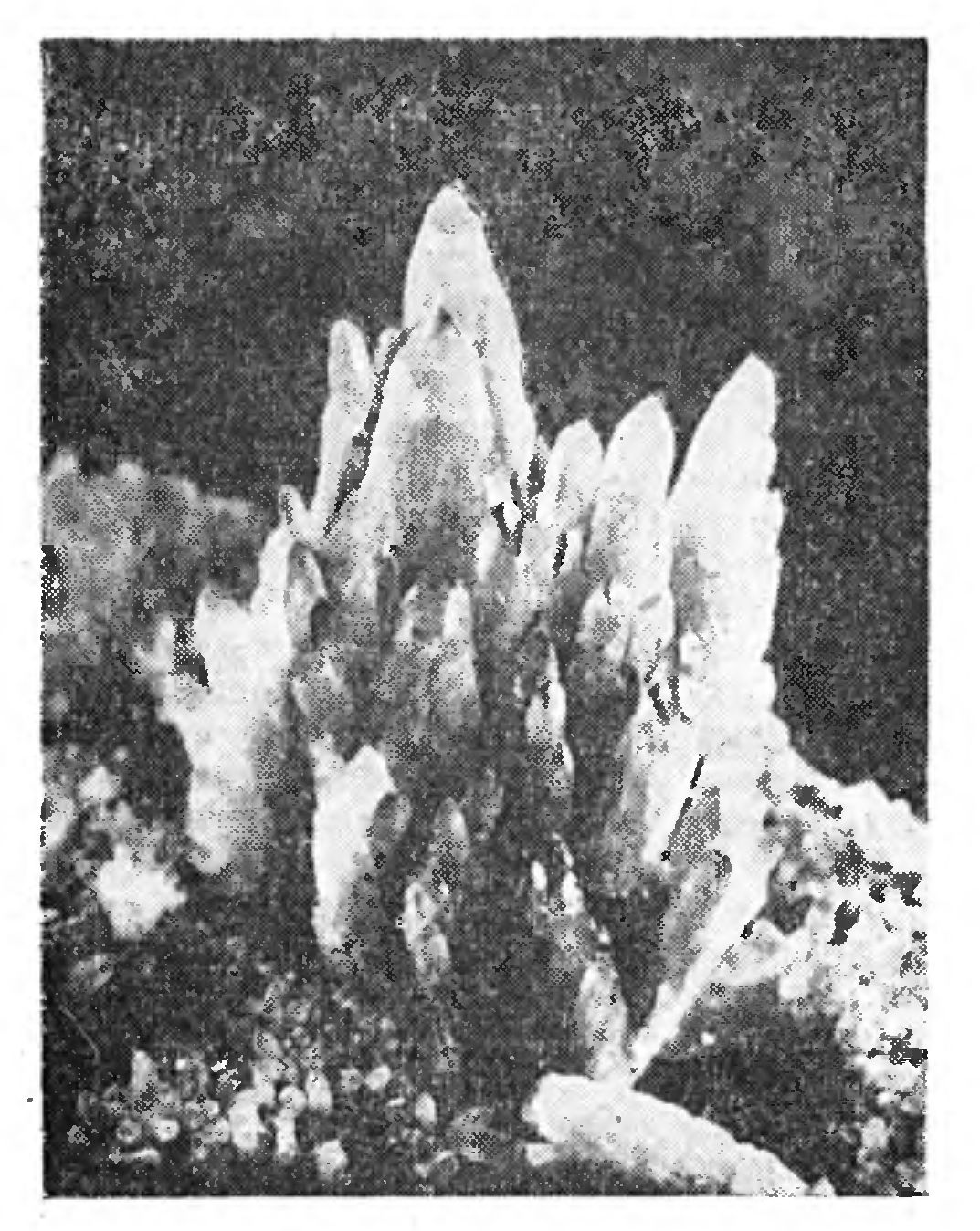 ПРОСТ ЛИ МИР?