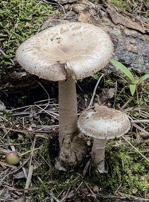 Заповедные новости. Март 2026 №3