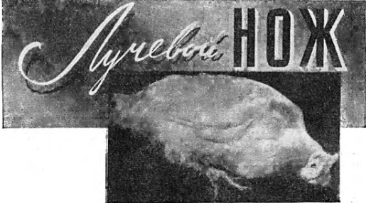 ЛУЧЕВОЙ НОЖ