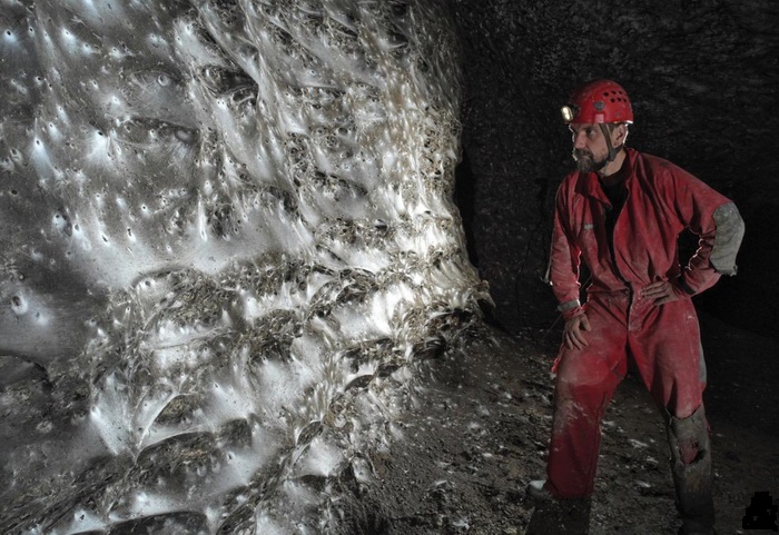 пауки колония.jpg пауки колония.jpg