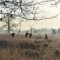 В Нидерландах нашли «заграничный» римский лагерь 