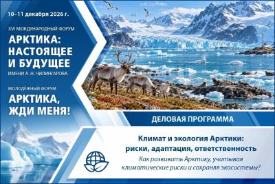 Экология Арктики: как развивать регион, не увеличивая цену ошибок