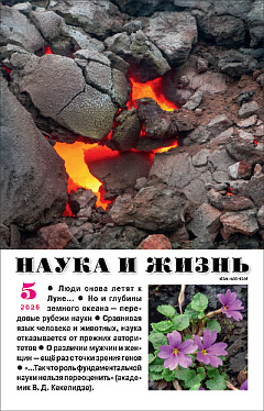 «Наука и жизнь» 2026_05(pdf)