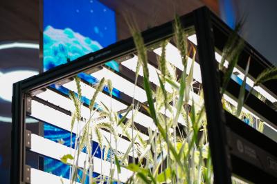 Биоэкопоселения: новая модель жизнеустройства