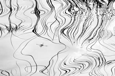 Объявлены победители XIII фотоконкурса «Стихии науки»