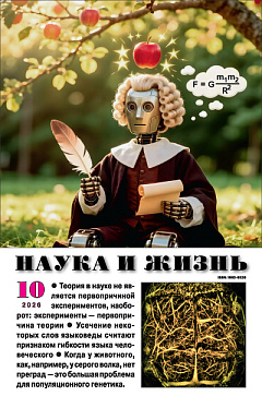№10,2026