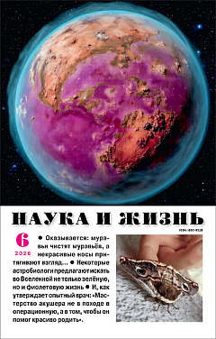№6,2026