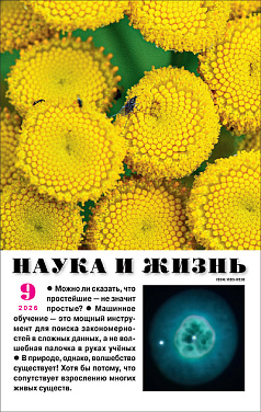 №9,2026