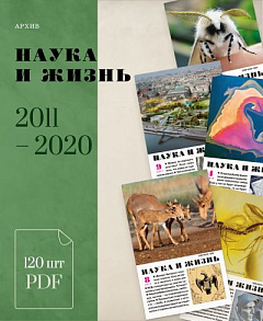 Комплект журналов в PDF за 2011-2020 годы