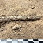 В Костёнках нашли украшения первых сапиенсов из раковин