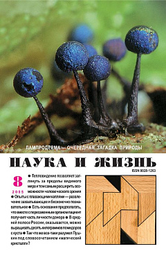 «Наука и жизнь» 2005_08 (pdf)