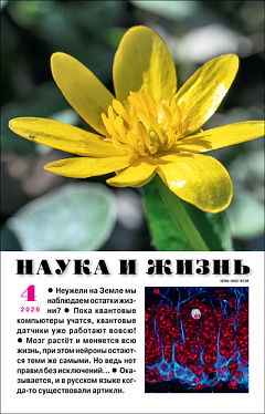 «Наука и жизнь» 2026_04(pdf)