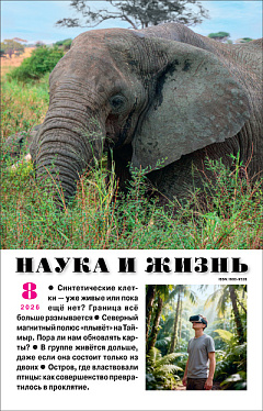 «Наука и жизнь» 2026_08(pdf)